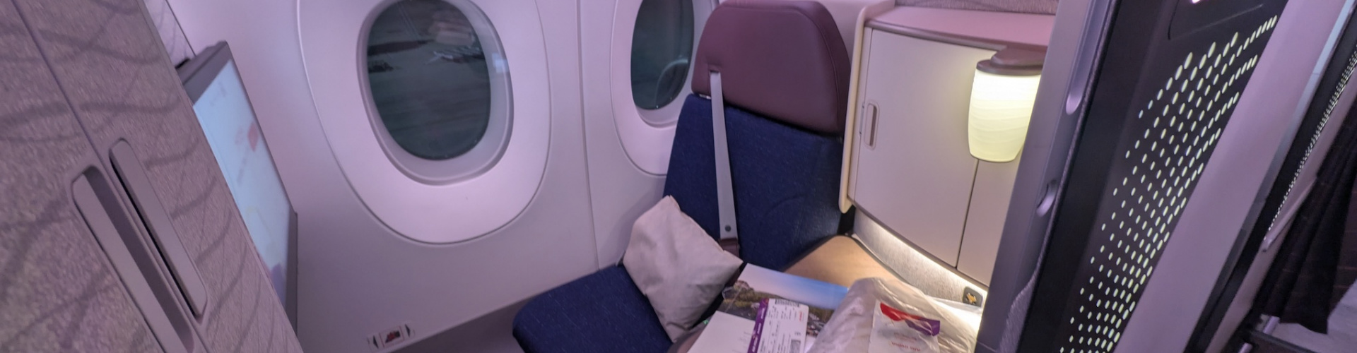 Review: Air India Business Class on the A350 Hyderabad-Delhi