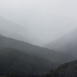 A misty landscape featuring layers of forested hills. The scene is enveloped in fog, creating a soft, atmospheric effect with muted colors and limited visibility.