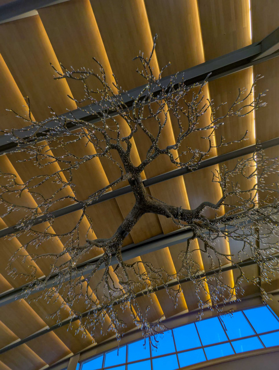 The image shows a ceiling installation resembling a tree with numerous branches adorned with small lights. The ceiling has wooden panels with warm lighting, and there is a large window with a blue sky visible through it.