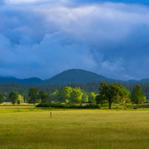 A scenic landscape featuring a vast grassy field in the foreground, with scattered trees and a fence. In the background, there are forested hills under a dramatic sky filled with thick, blue-gray clouds. The lighting suggests a mix of sunlight and shadow, creating a serene and picturesque atmosphere.