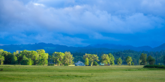 A scenic landscape featuring a lush green field in the foreground, with a row of trees and a few small buildings in the middle ground. In the background, there are forested hills under a sky filled with dramatic, thick clouds. The lighting suggests a mix of sunlight and shadow, creating a vibrant and serene atmosphere.