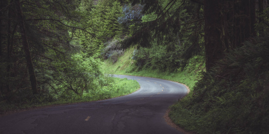 A winding road curves through a lush, green forest. The road is bordered by dense trees and foliage, with sunlight filtering through the leaves, creating a serene and natural atmosphere.