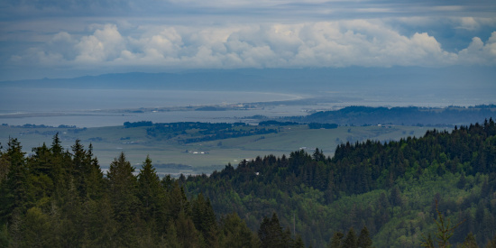 A scenic landscape view featuring a dense forest in the foreground with a variety of green trees. Beyond the forest, there are open fields and a distant coastline. The sky is filled with large, fluffy clouds, creating a dramatic backdrop. The overall atmosphere is serene and expansive.