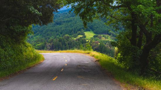 A winding road curves to the left, bordered by lush green grass and trees. The road leads to a scenic view of a dense forest with rolling hills in the background. Sunlight filters through the trees, creating a serene and picturesque landscape.