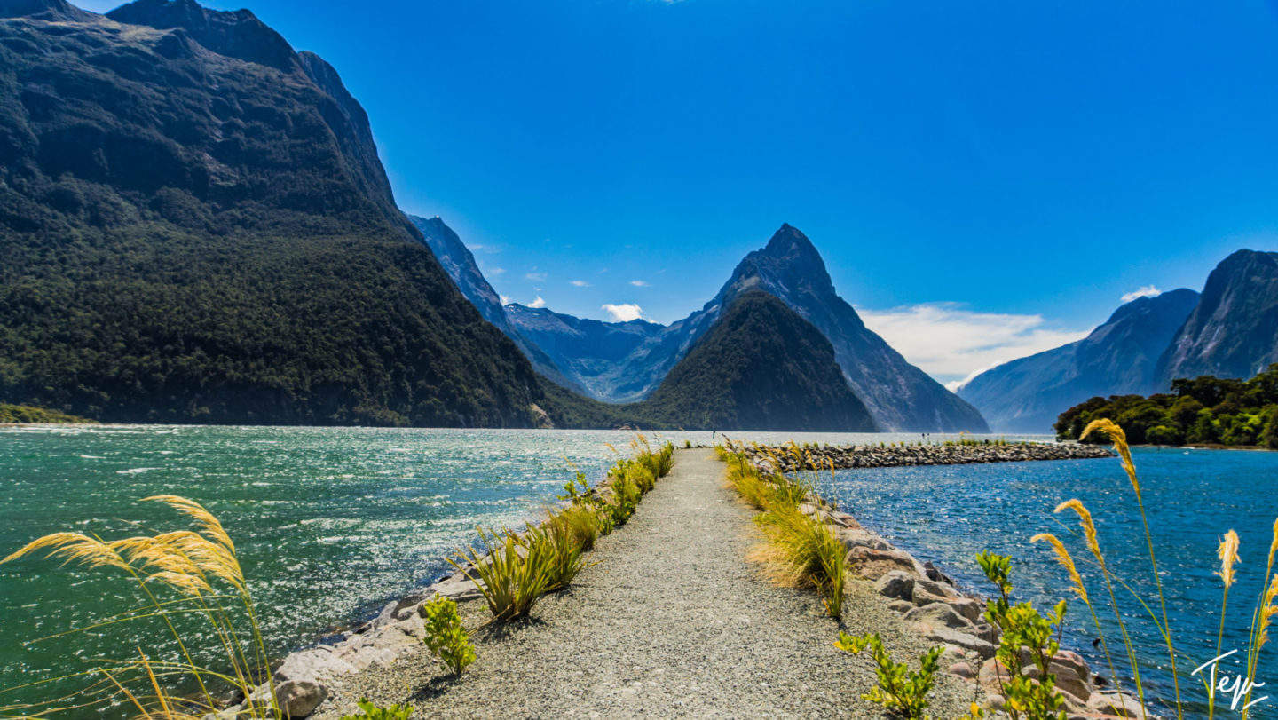 a path leading to a body of water with mountains in the background with Milford Sound in the background