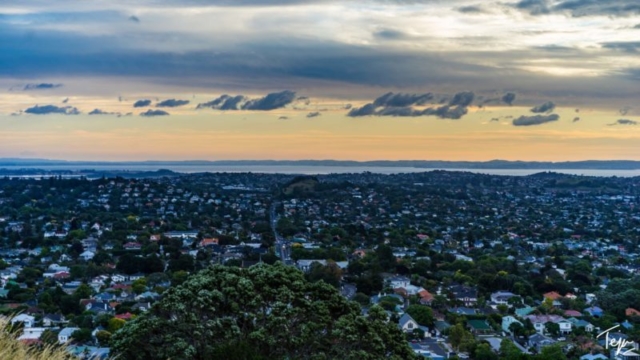 Looking at the suburbs of Auckland