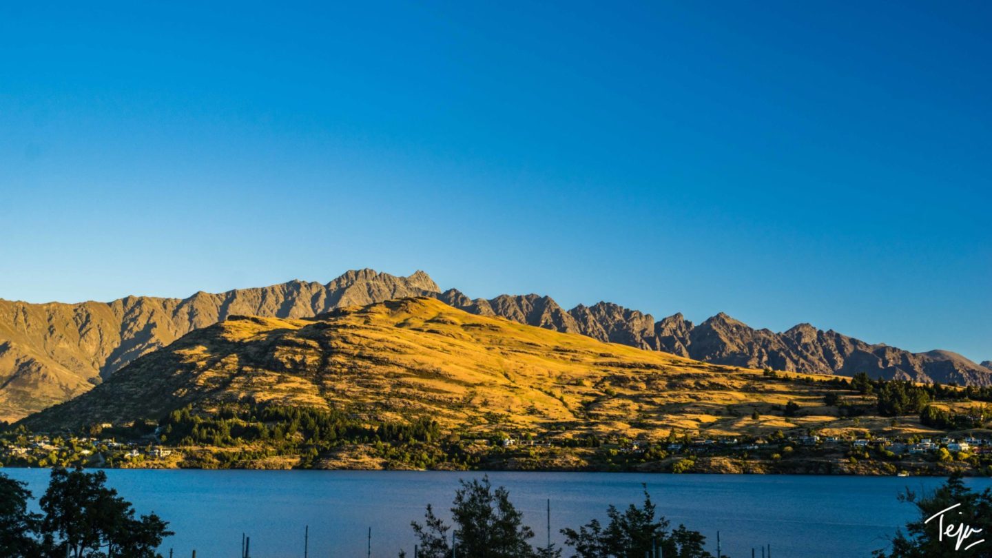 a mountain with trees and a body of water